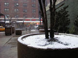 First snowfall of the year in New York City...