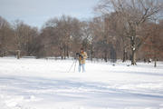 Guest photographer Karen captures the Central Park...